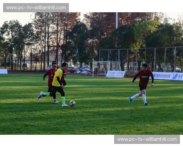 开云体育赛事提醒设置：让你不错过每一场精彩赛事